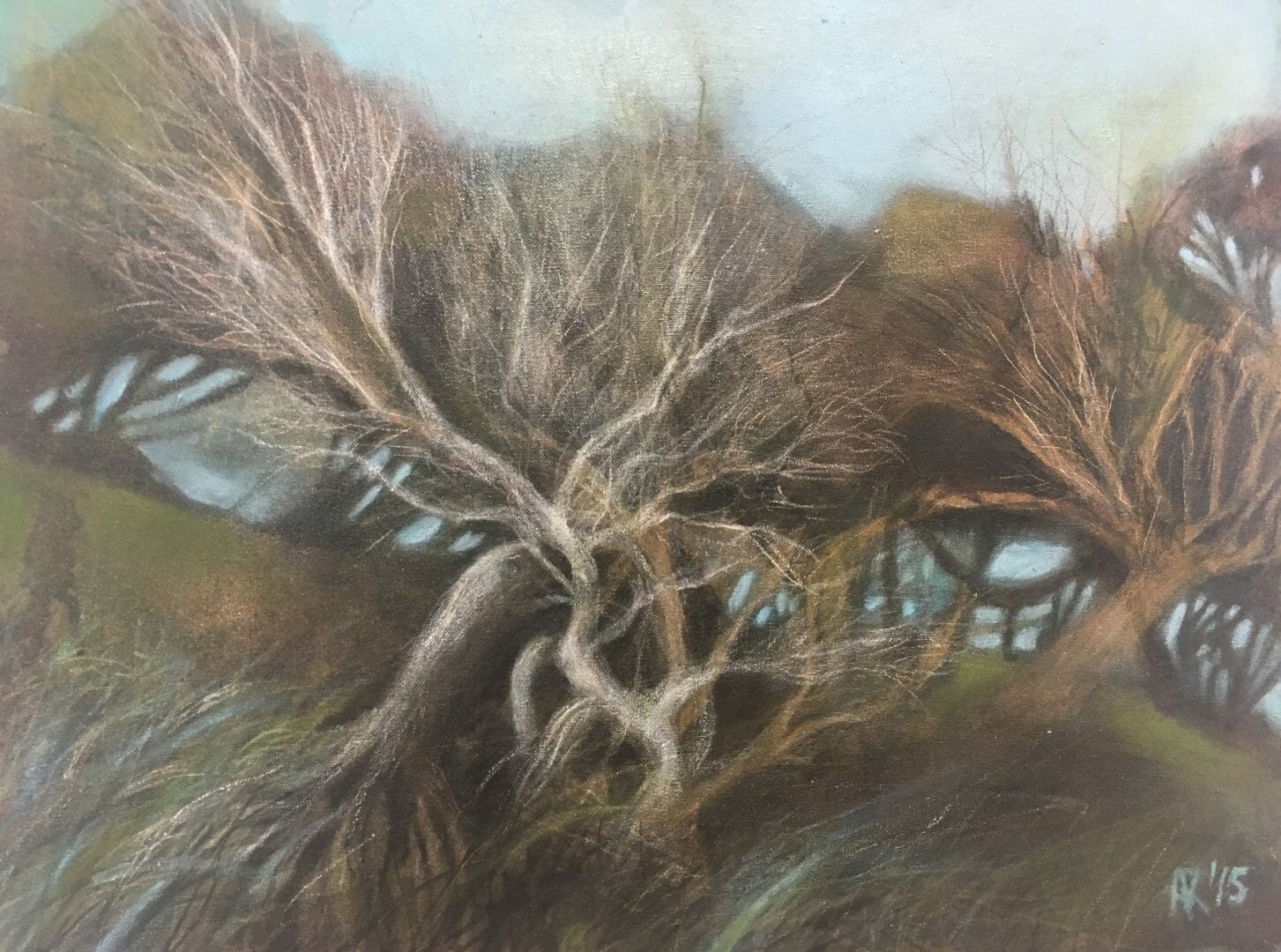 The Iluka Emporium annie roberts landscape