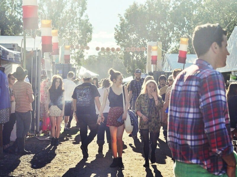 Splendour in the Grass