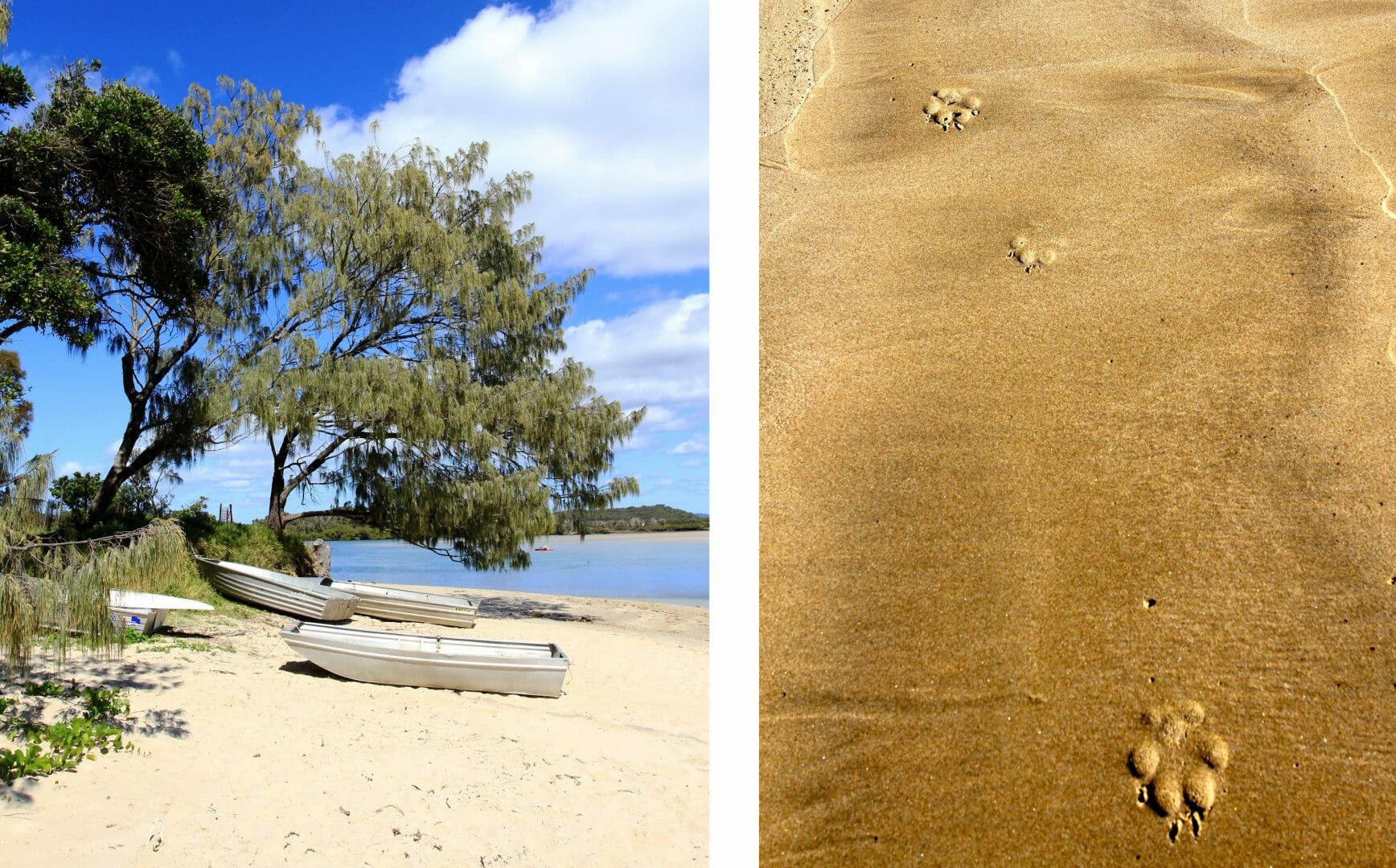 Ilaroo Campground & Sandon – Yuraygir National Park