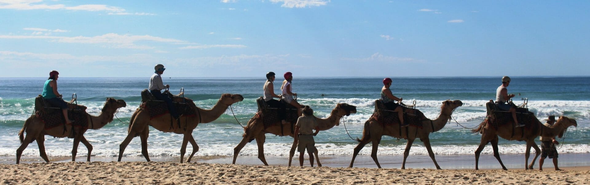 Camels by the Sea, Port Macquarie