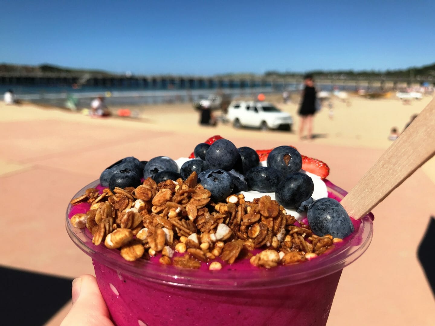 Coffs Harbour Jetty Foreshore Pataya Bowl