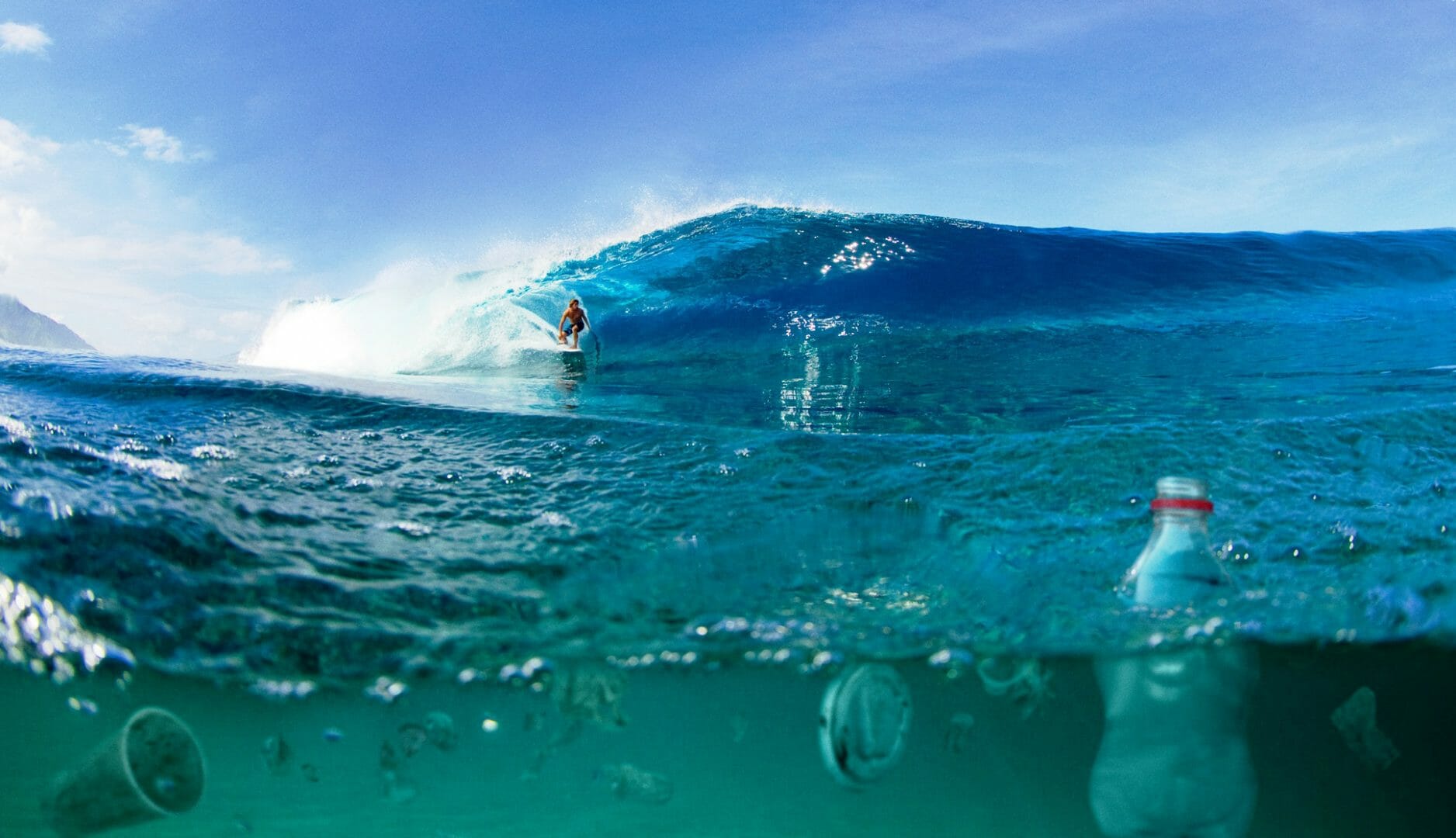 Hold on to Your Butt Coffs Coast Surfrider Foundation wave