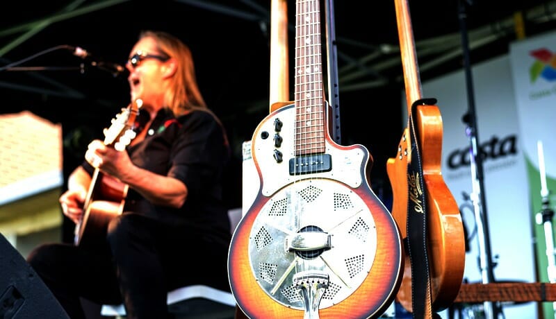 Blues & Berries Community Fair