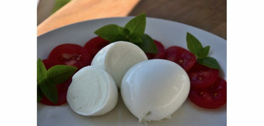 fresh Burraduc buffalo mozzarella small3 