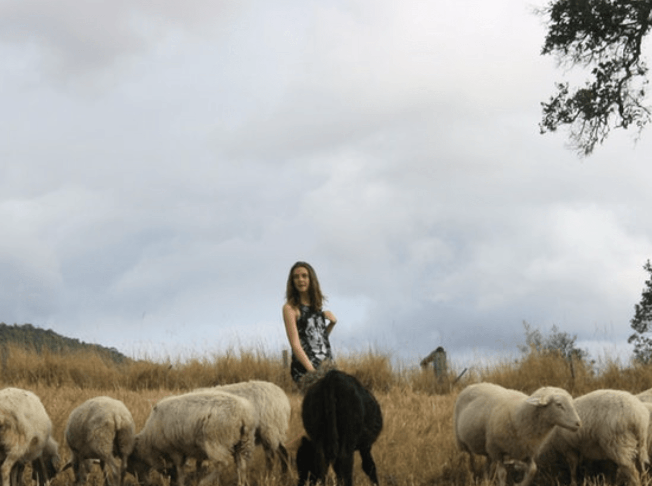 Hastings Landcare Farm Gate Tour