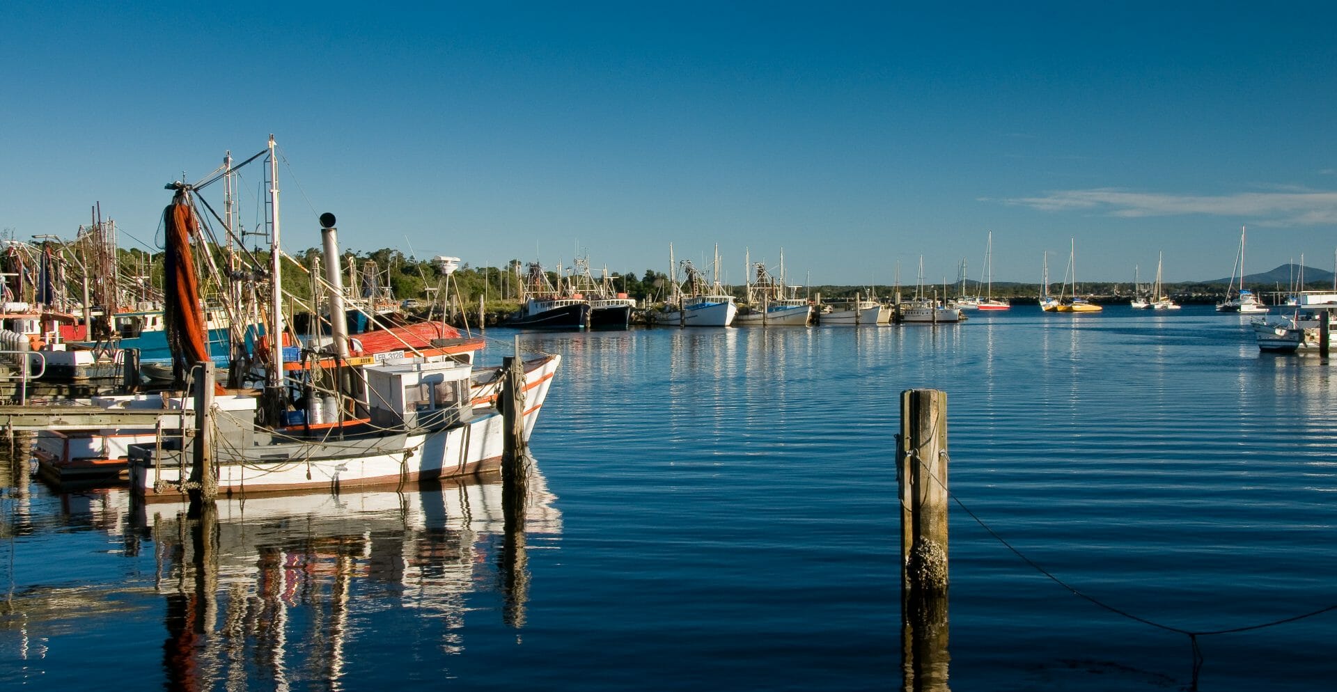 Iluka Marina