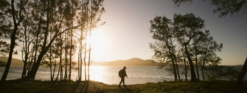 Booti Hill and Wallis Lake walking track headland lake