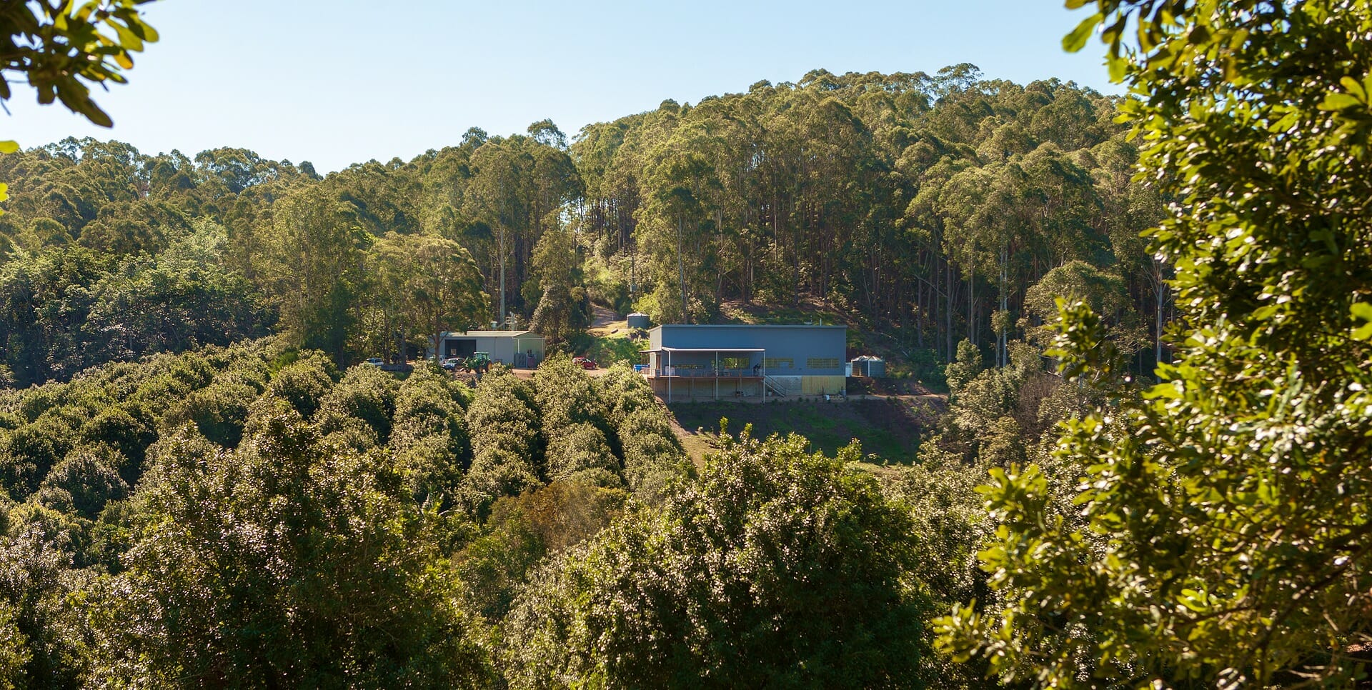 Brookie's Gin Distillery