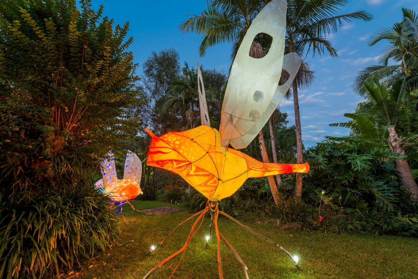 lit up fly lantern