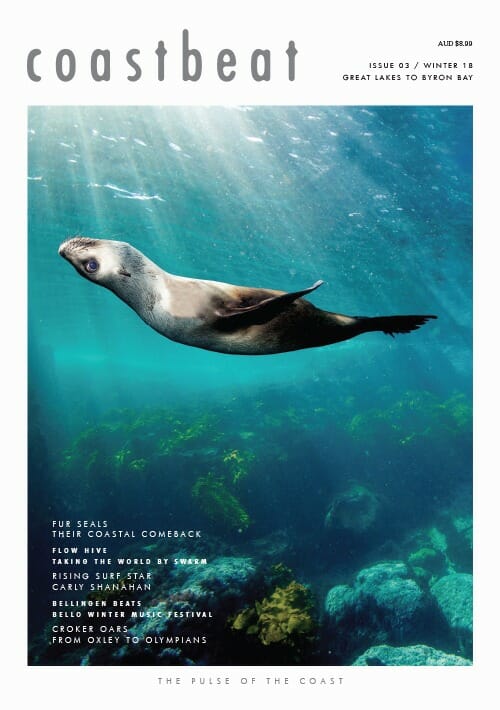 The Winter Issue