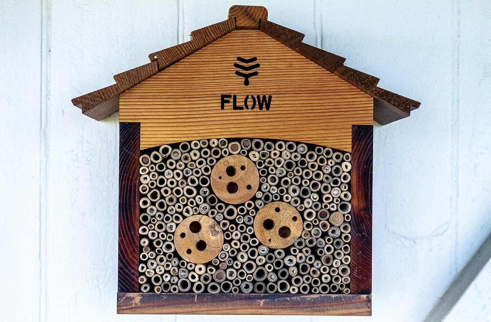 Flow Hive close up