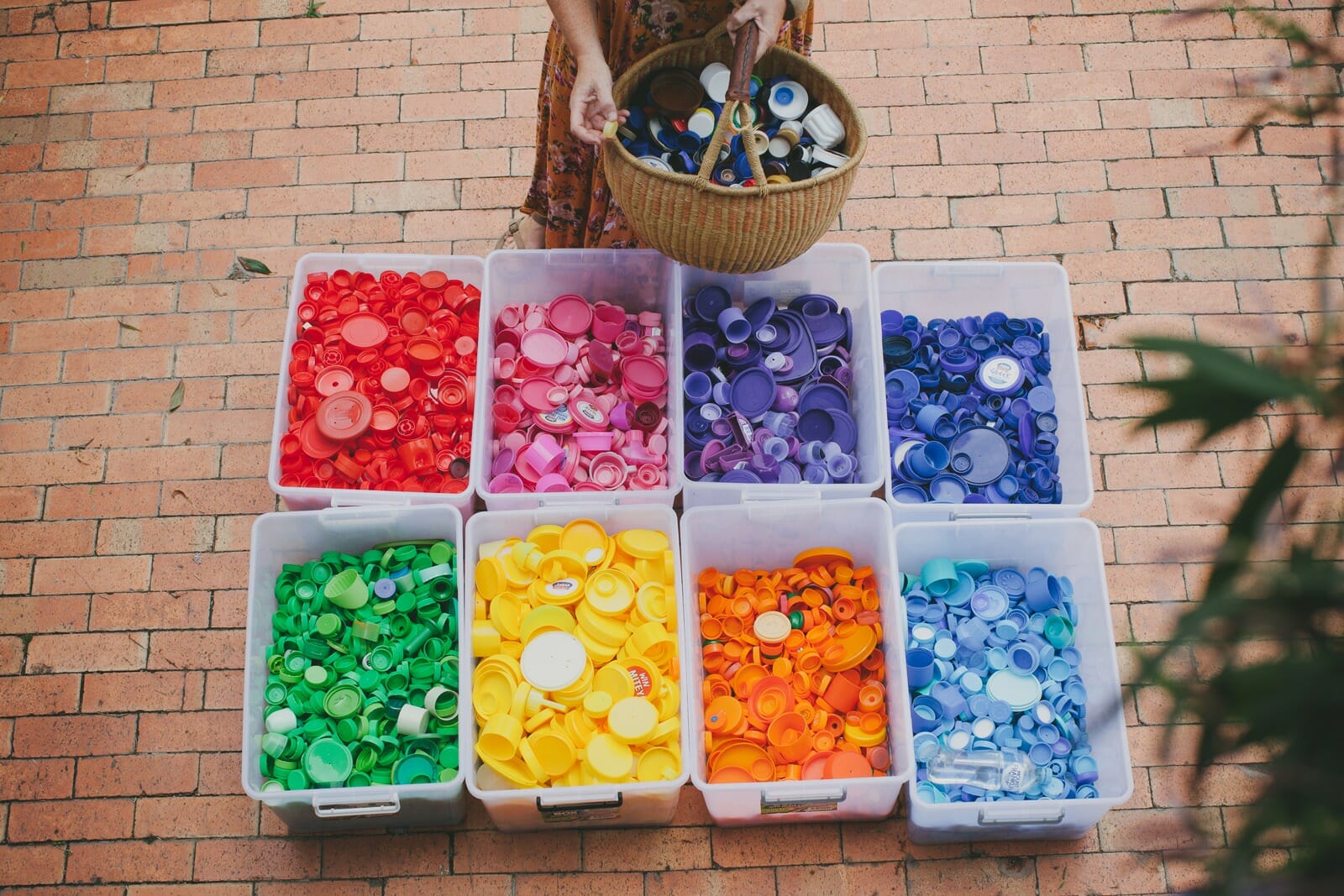 plastic lids sorted into colours