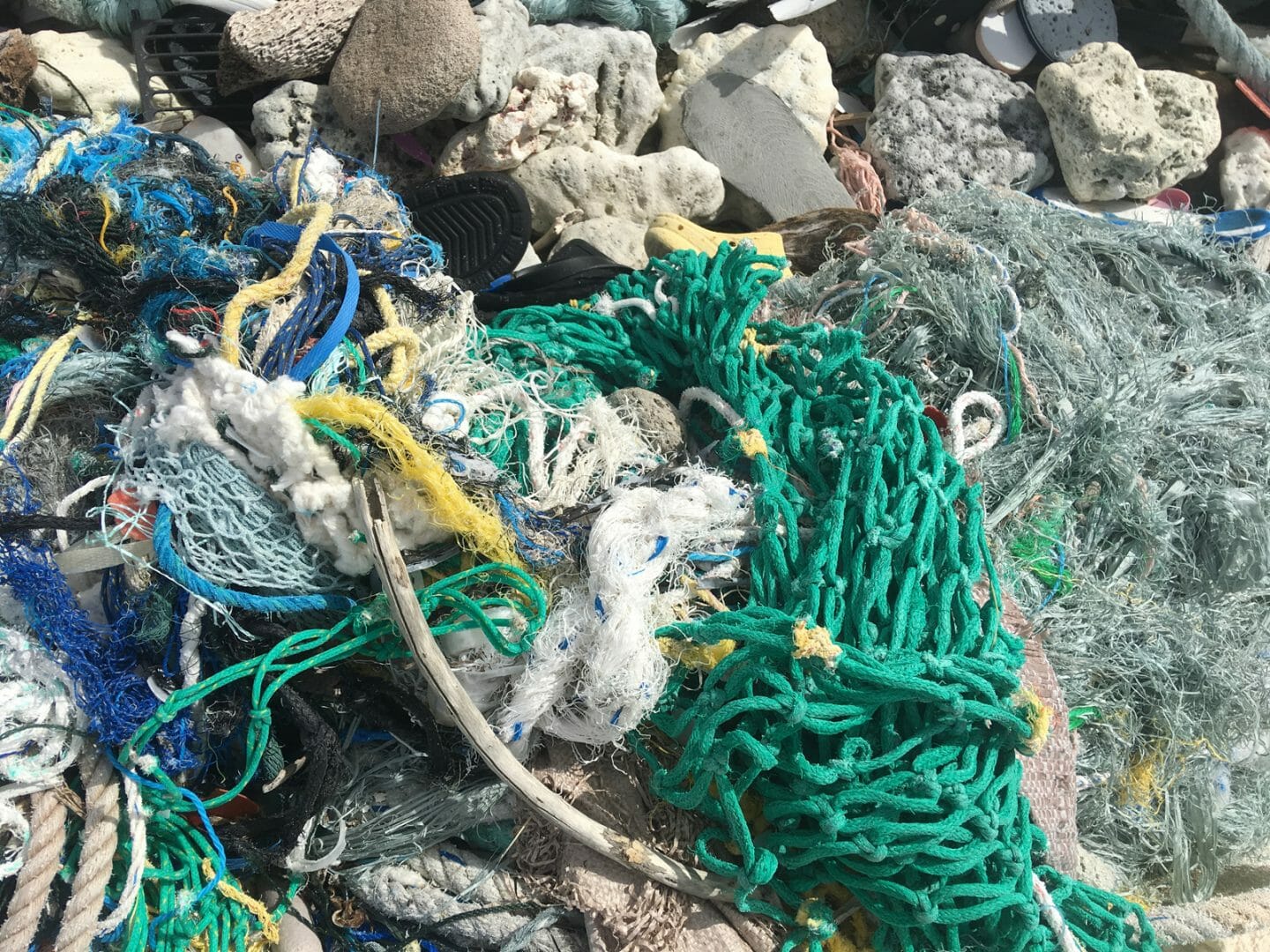 debris on a beach