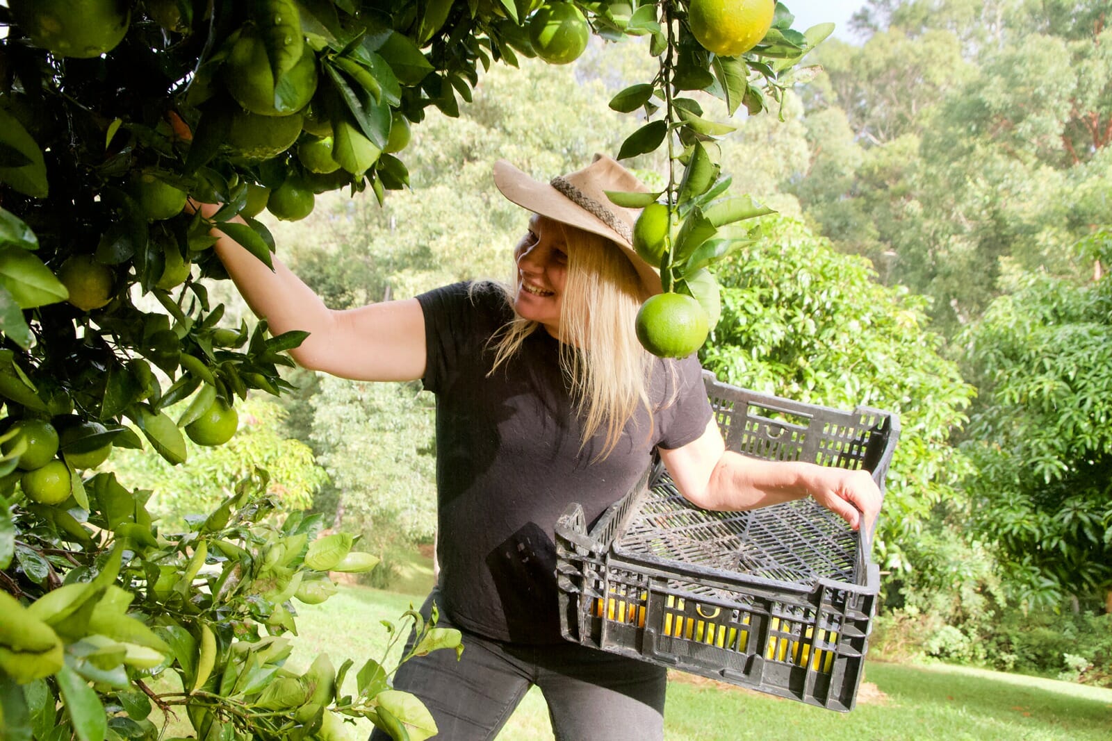 Cheryl picking fresh fruit