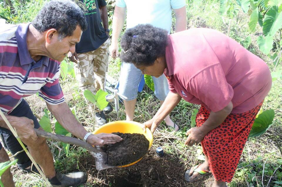 Fijian Soil School