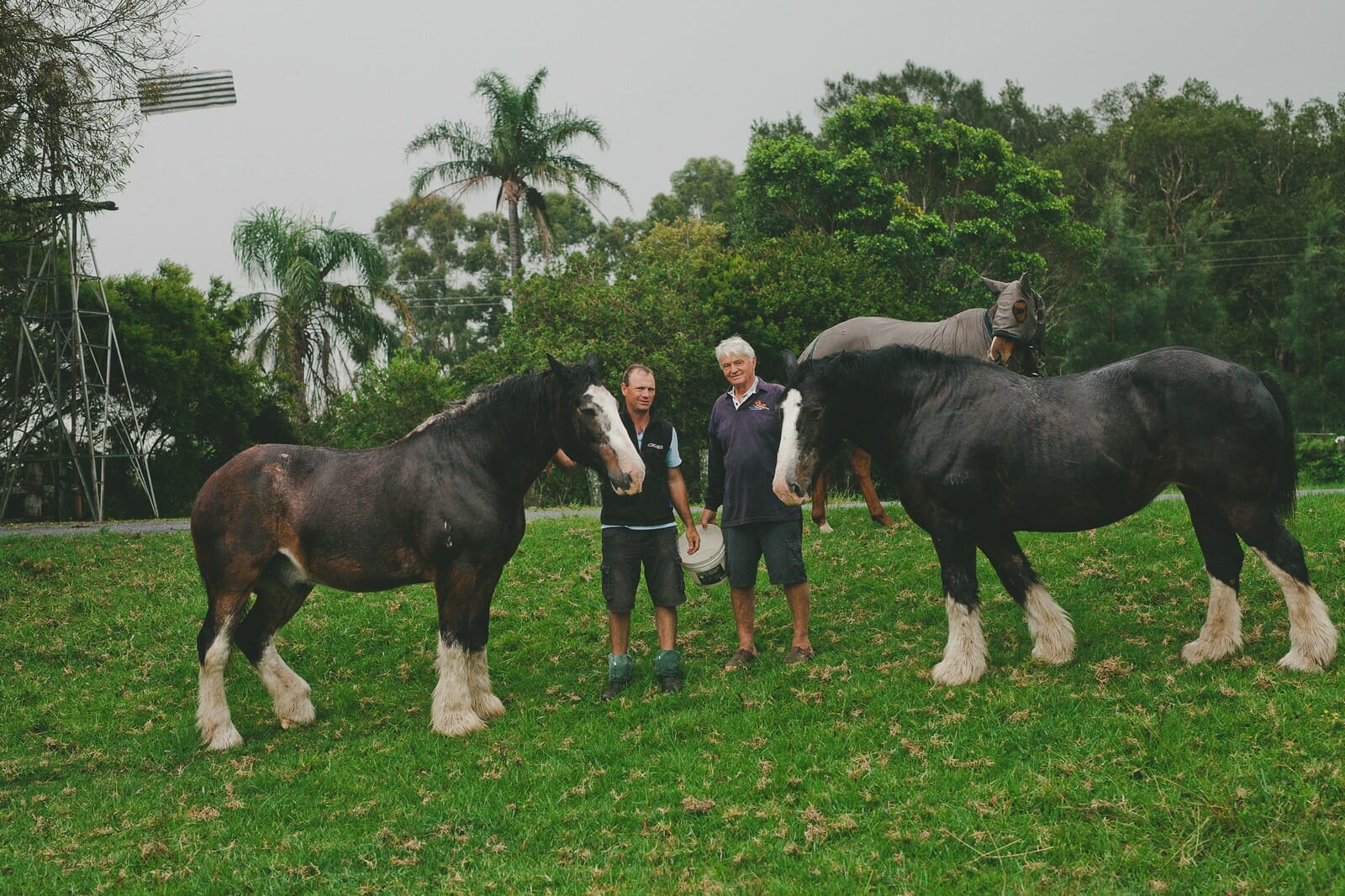 Howard & Darren Croker with horses