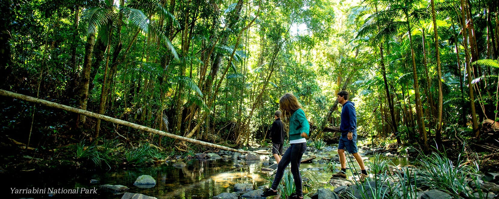 Top 5 Winter Activities on the Macleay Valley Coast