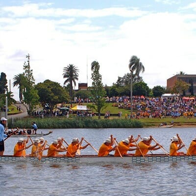 Jacaranda Dragon Boat Races