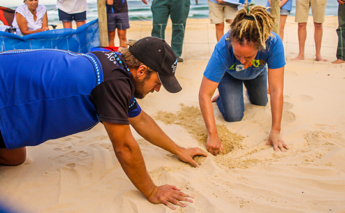 Duan and Holly Excavating the Nest