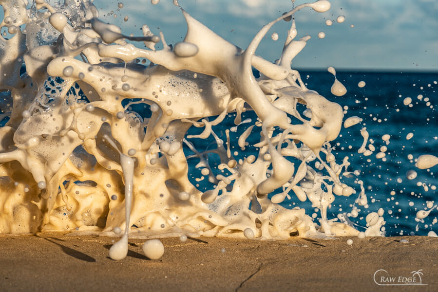 Golden Dancers photo of wave