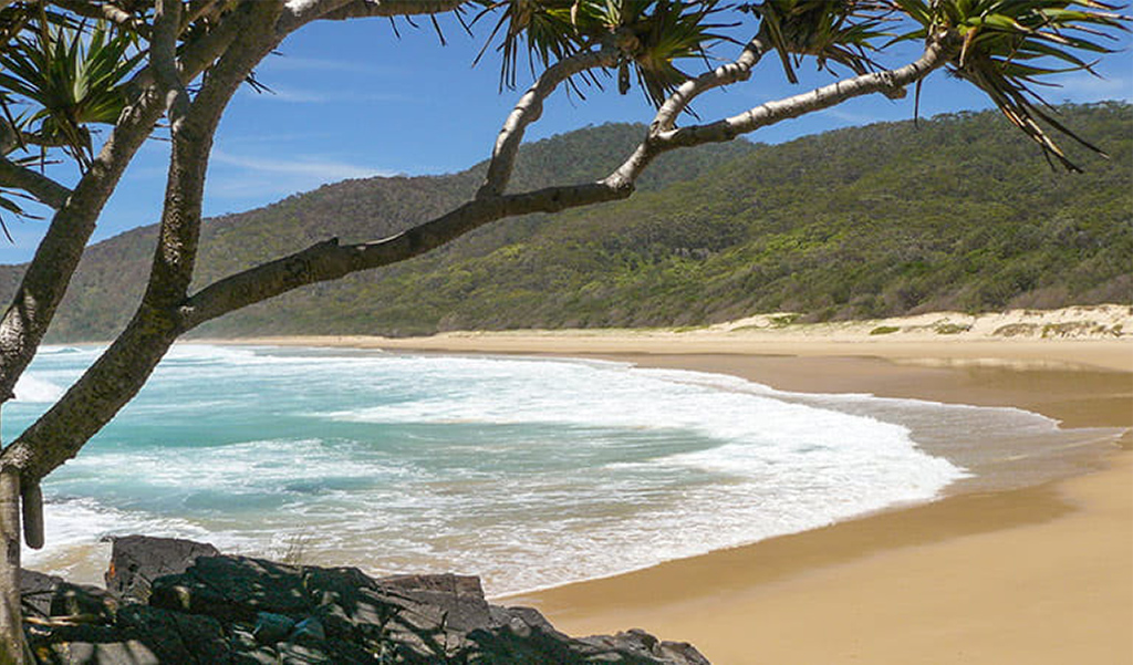 Best Places to Camp on the Macleay Valley Coast