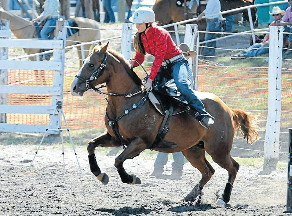 Wingham Summertime Rodeo