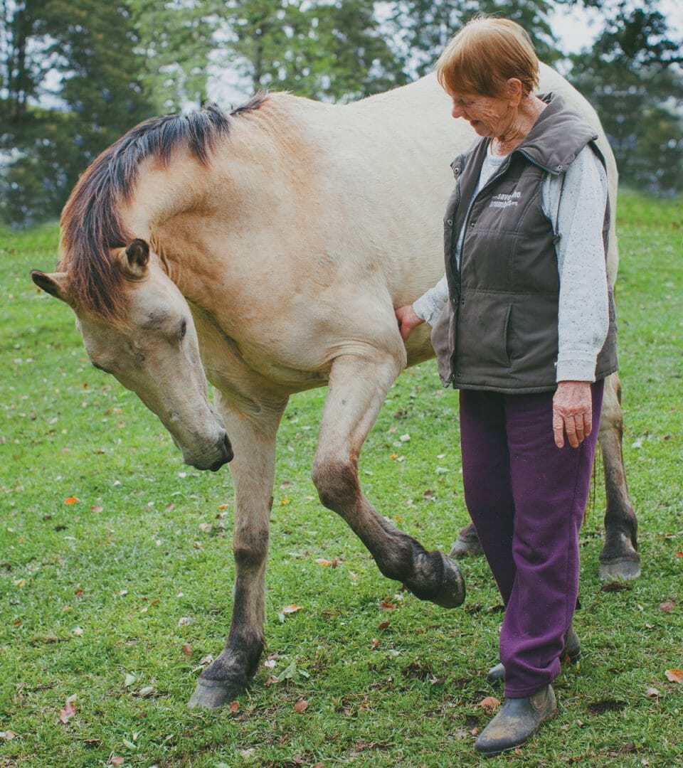 Jan Carter with one of her Brumbies