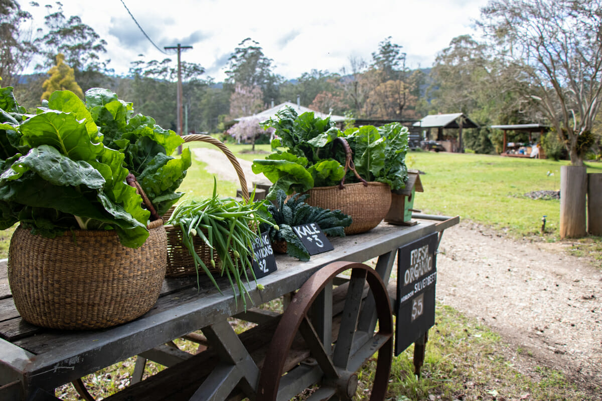 fresh produce at the farm gate