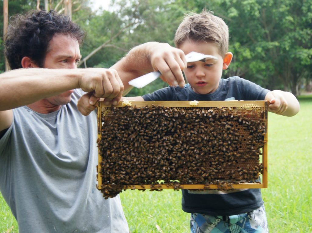 The Hive of Life – Beekeepers of the North Coast