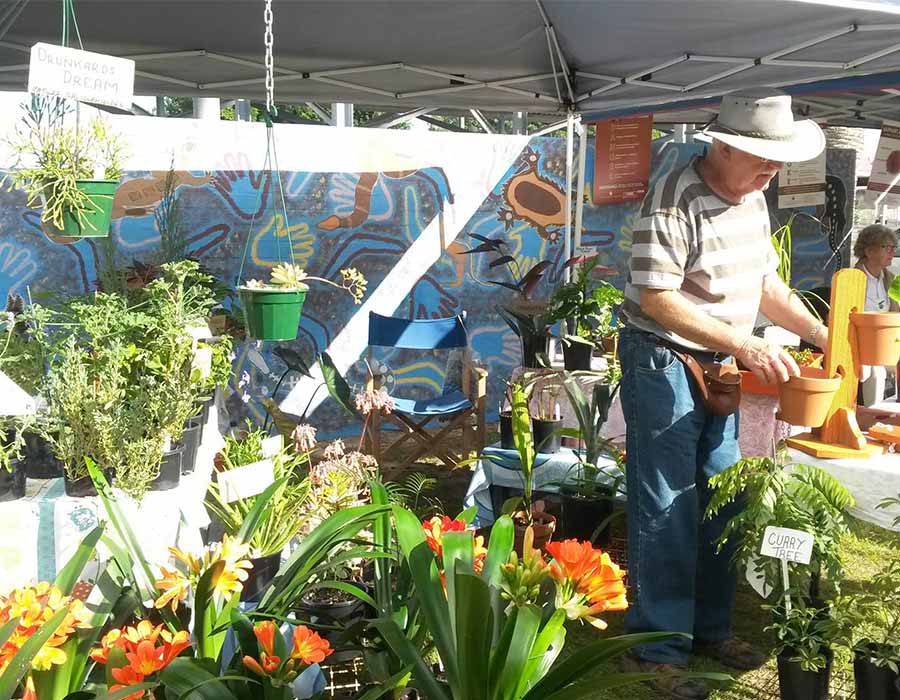 Forster Farmers Market