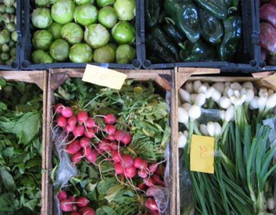 Nabiac Farmer Market (Monthly Event)