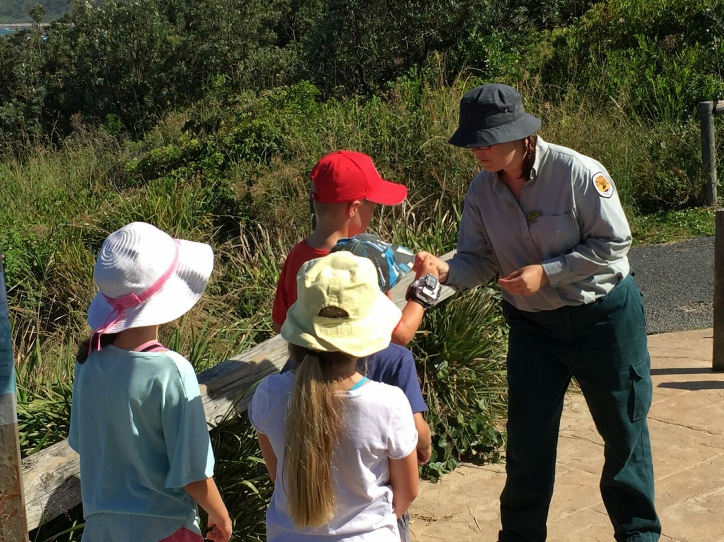 Wilderquest Bush Detective – NPWS Ranger Tour