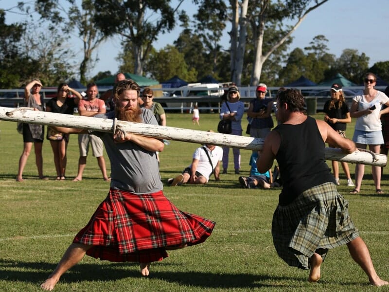 Plunge Art and Culture Festival