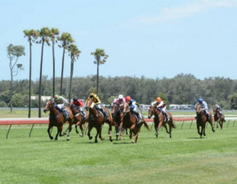 Seafood Raceday