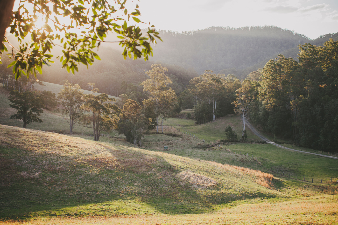 Discovering the Western Hinterland of the Coffs Coast