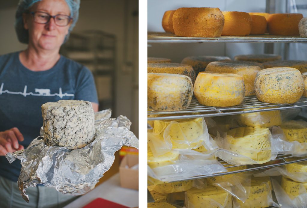 The rise of artisan cheese