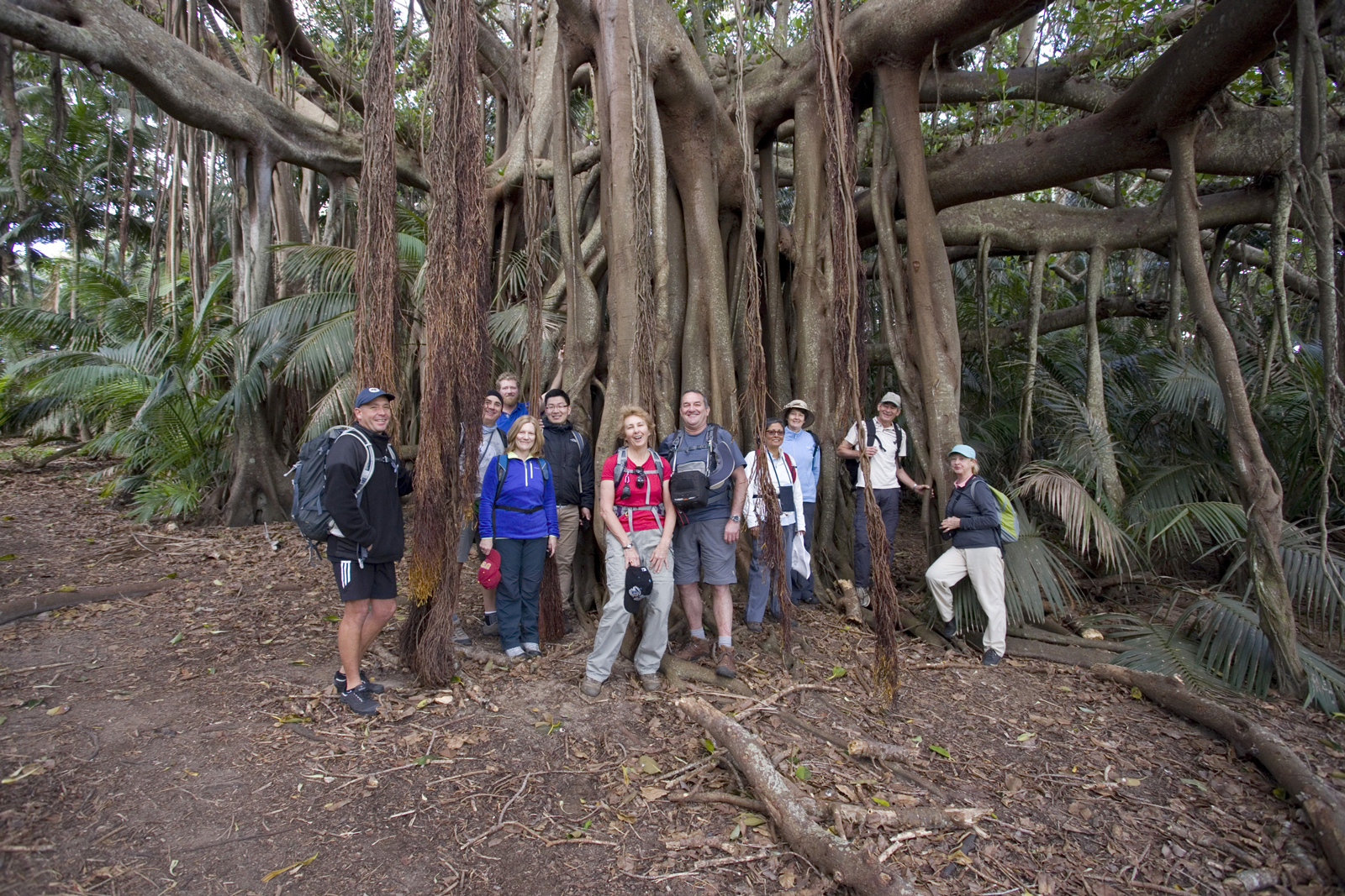 Hikers on Mount Gower