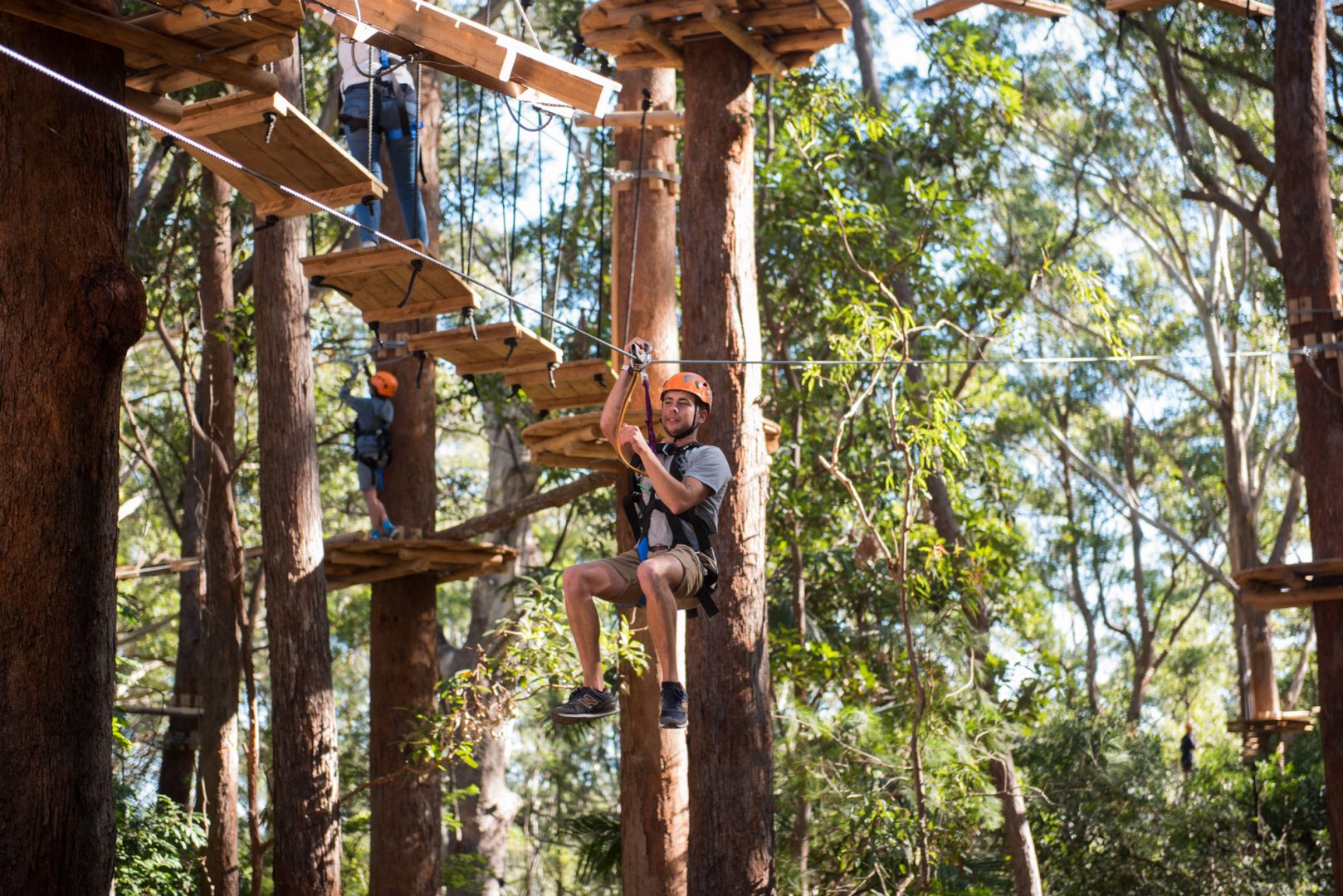 A Day at TreeTops Coffs Harbour | TreeTops Adventure Park