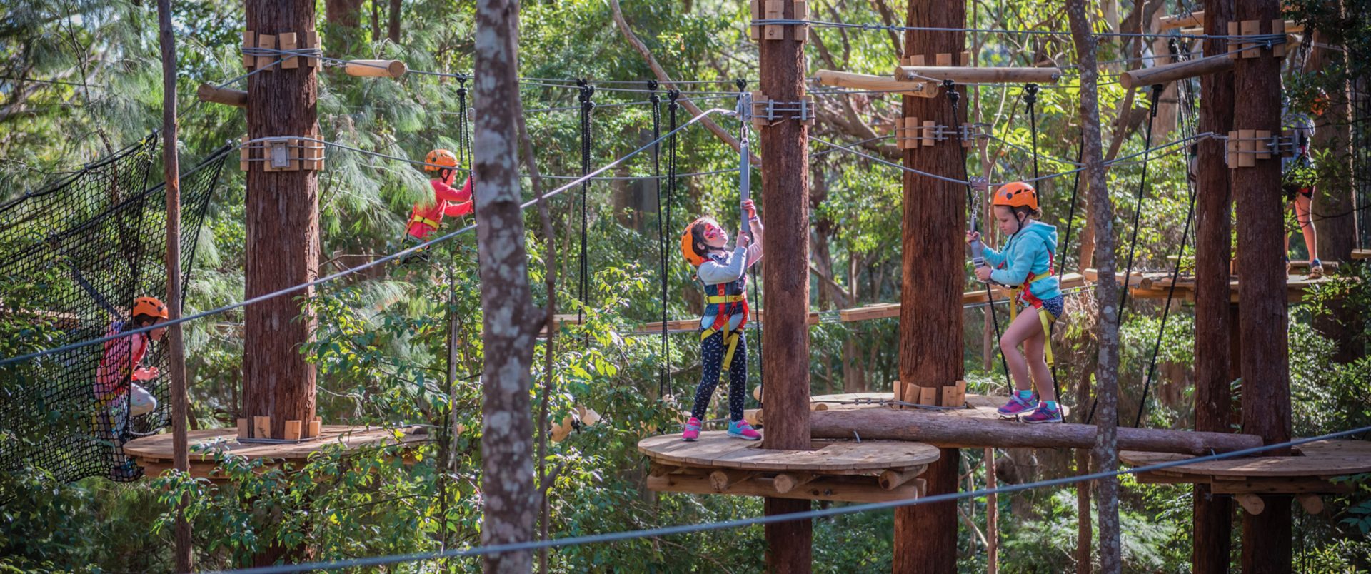 A Day at TreeTops Coffs Harbour