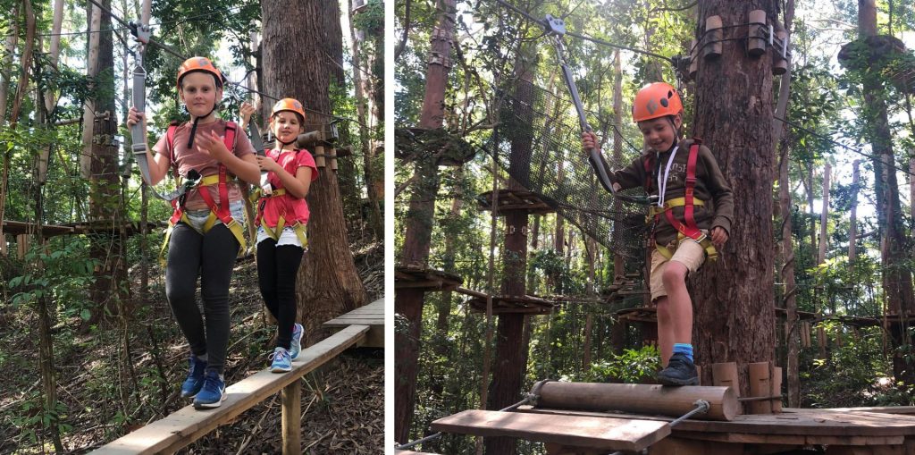 TreeTop experience