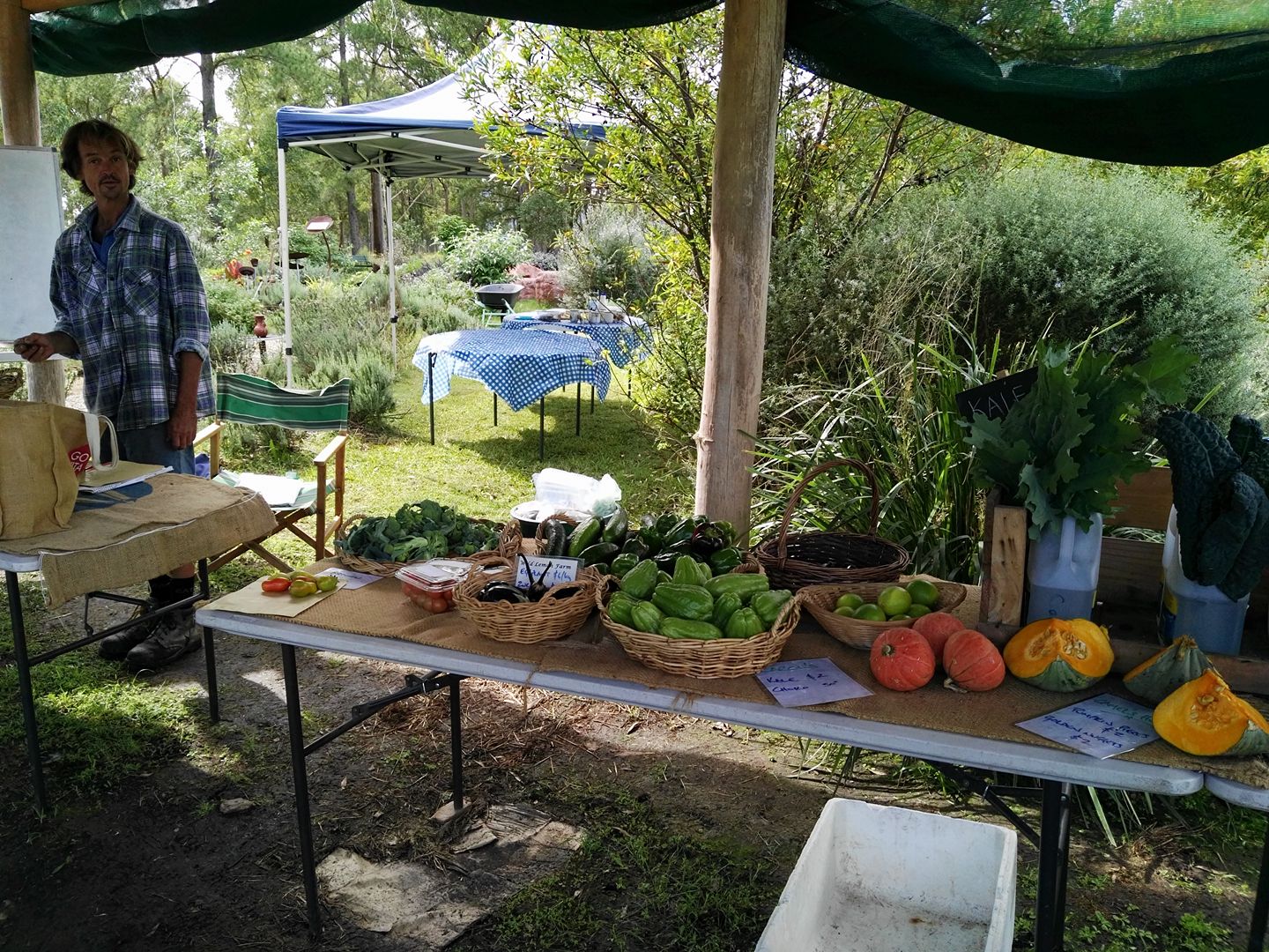 Tucker Patch Farmgate Stall