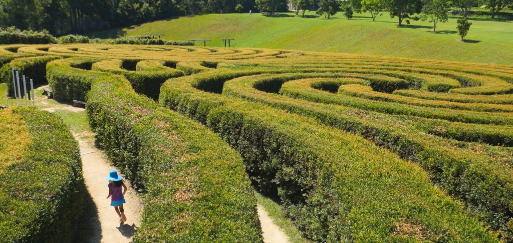 The maze at Bago Maze and Winery