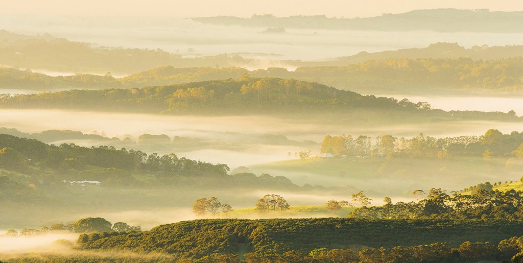 Byron's beautiful hinterland is worth exploring