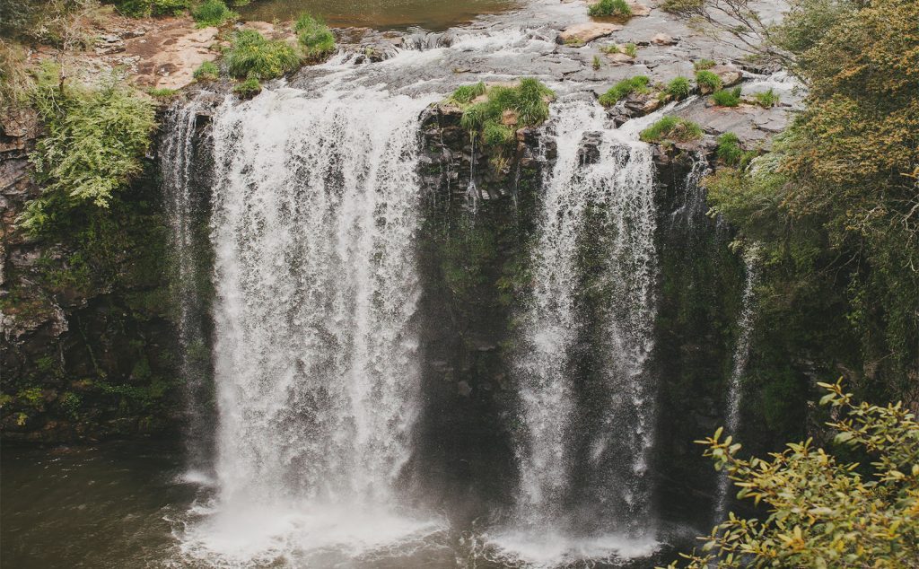 Dorrigo's Dangar Falls