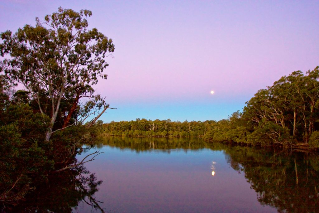 Bonville and Pine Creek Fishing Spots