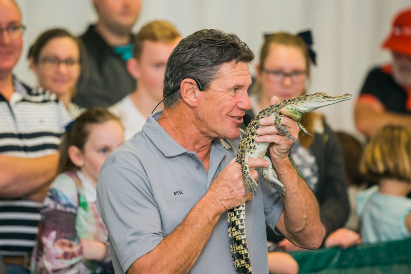 Steve McEwan with a baby saltwater croc