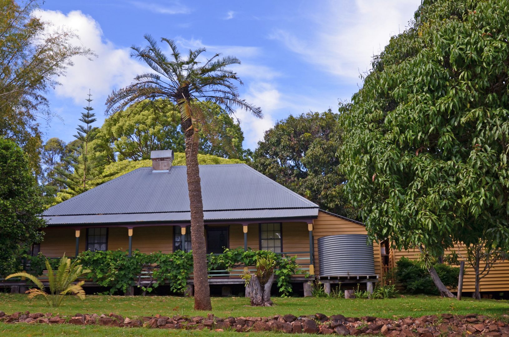 National Gardening Week at Douglas Vale