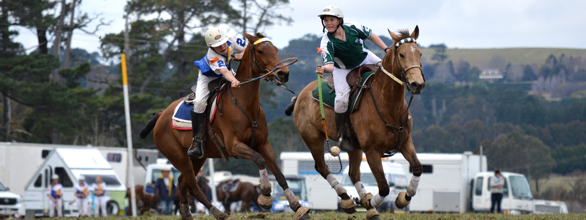 2019 NSW Polocrosse Masters