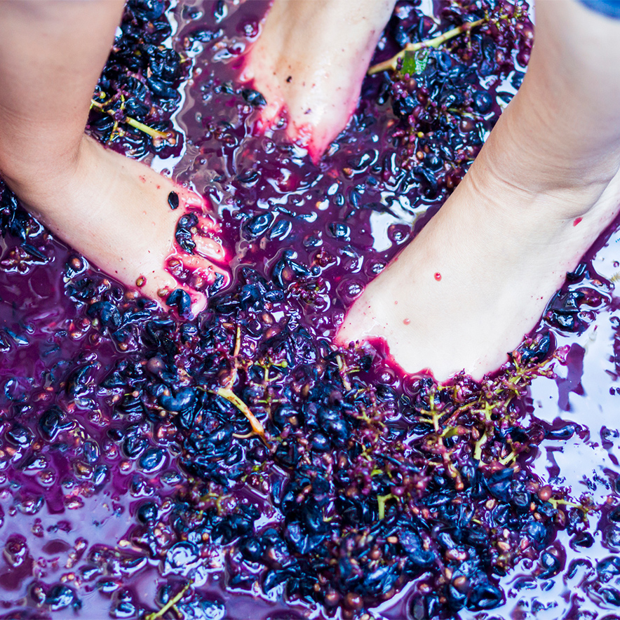 Bago’s Grape Stomping Championships