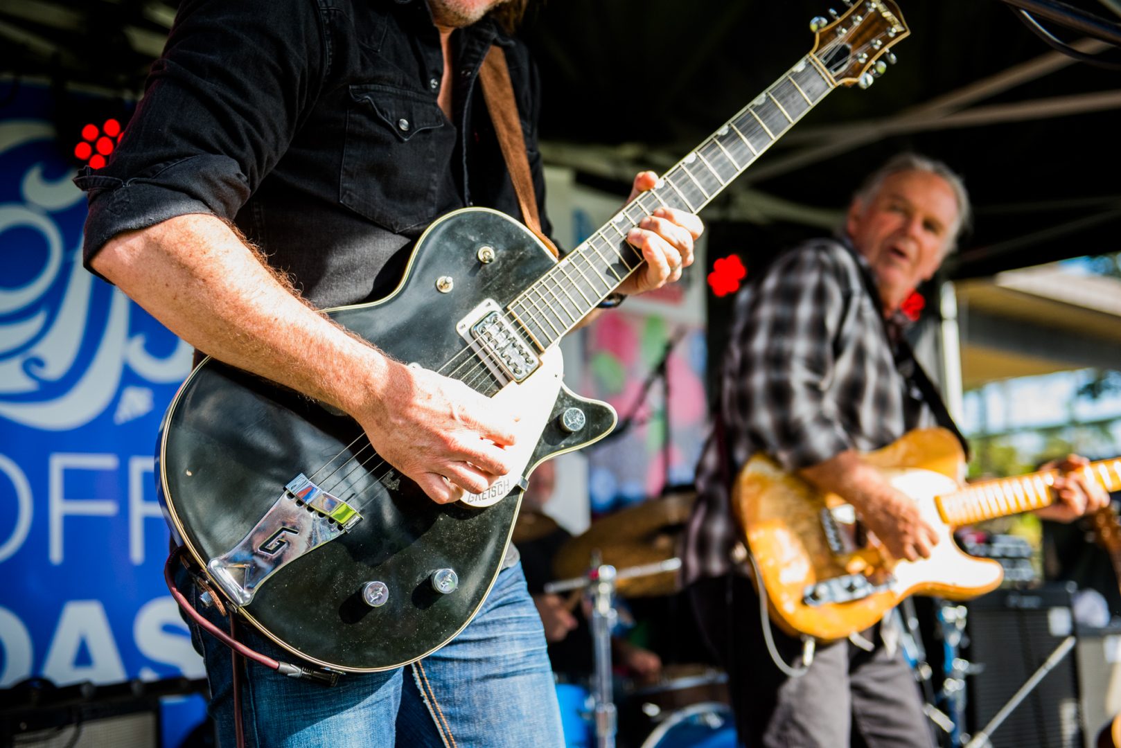 Blues & Berries Festival